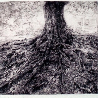 Behind Halliehurst drypoint engraving 2004