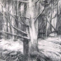 St Sebastian charcoal on Arches 30x22 2004