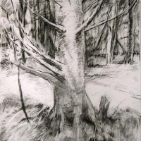 Saint Sebastian II, 30x23 charcoal on arches 2010