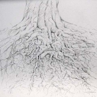 Summer Drawing graphite on bristo; paper 14x17