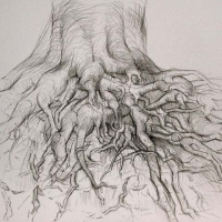Tangle of Edges graphite on  bristol paper 14x17 2010