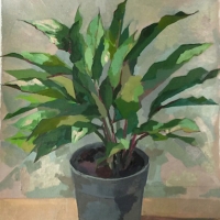 Plant, Acrylic on Paper, 2016
