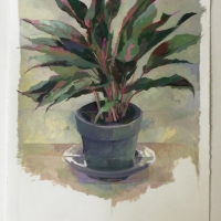 Plant, Acrylic on Paper, 2016