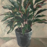 Plant, Acrylic on Paper, 2016