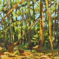 Mountain Shadow 12x12 acrylic on cradeled hard board 2011