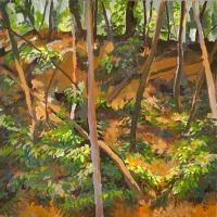 Appalachian-Highlands-12x12 acrylic on cradeled hard board 2011