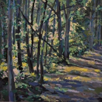 Near Ferrum Mountain Franklion County 12x12 acrylic on canvas 2011