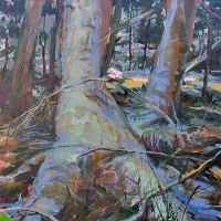 Hiding in the Forest acrylic on canvas 48x36 2010